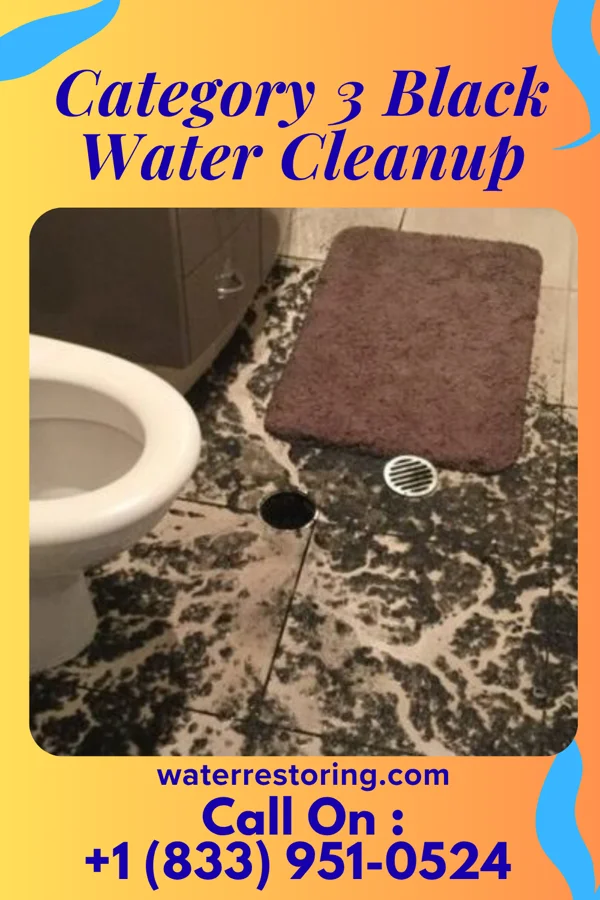 Category 3 Black Water Cleanup in Austwell, TX
