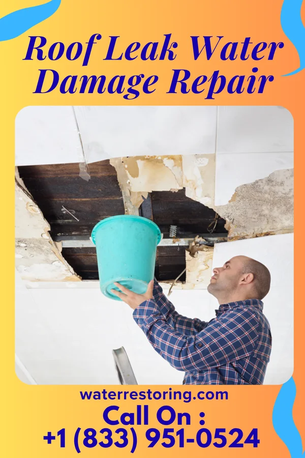 Roof Leak Water Damage Repair in Austwell, TX